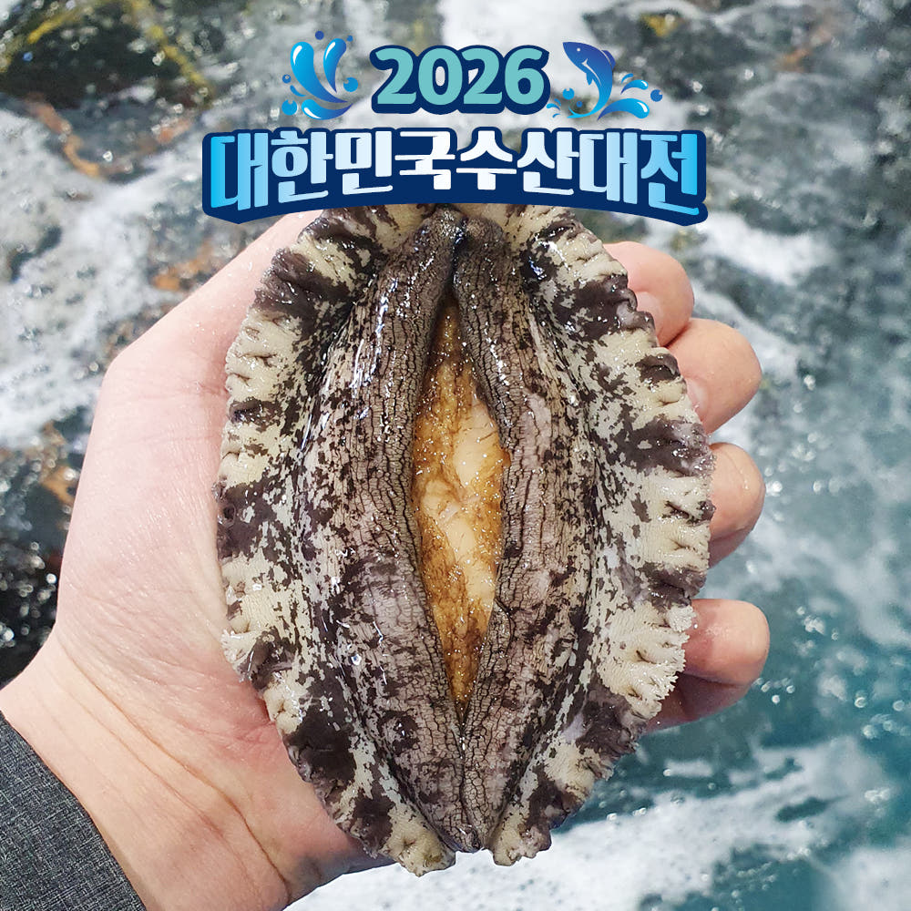 산지직송 완도 활전복 1kg 산소포장 1박스 참전복 배경